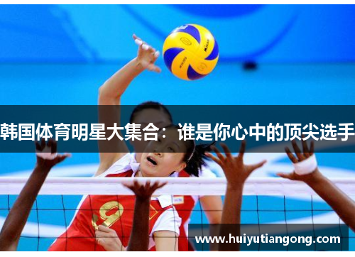 韩国体育明星大集合：谁是你心中的顶尖选手